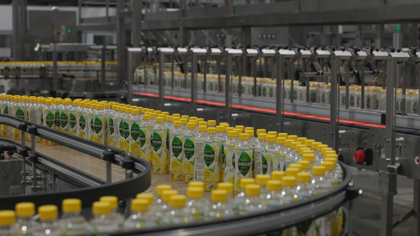 OYOSHI bottles with yellow caps on a conveyor